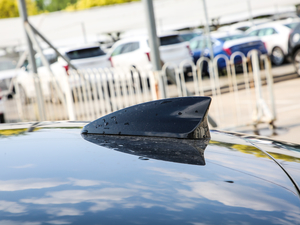 2020��28T �r���� �������^