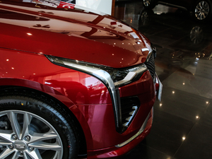 2020��28T �r���� �������^