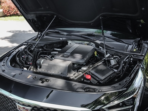 202028T I(lng)ȳ(j)Ѳ 