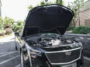 202028T I(lng)ȳ(j)Ѳ 