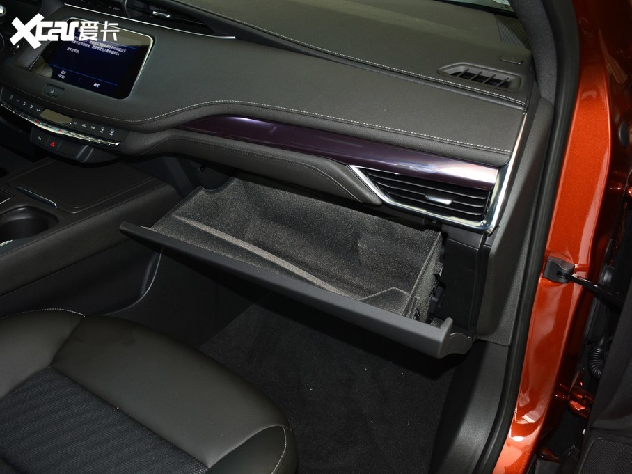 2020PXT4 Ŀ 28T (q)g(sh)