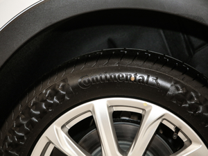 202128T 򌼼g ݆̥Ʒ