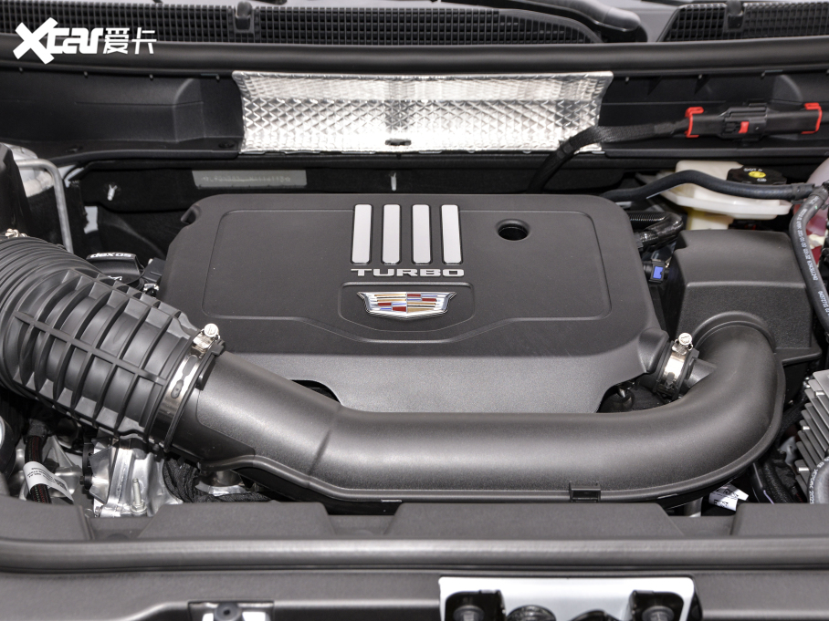 2021PXT5 Ŀ 28T (q)F