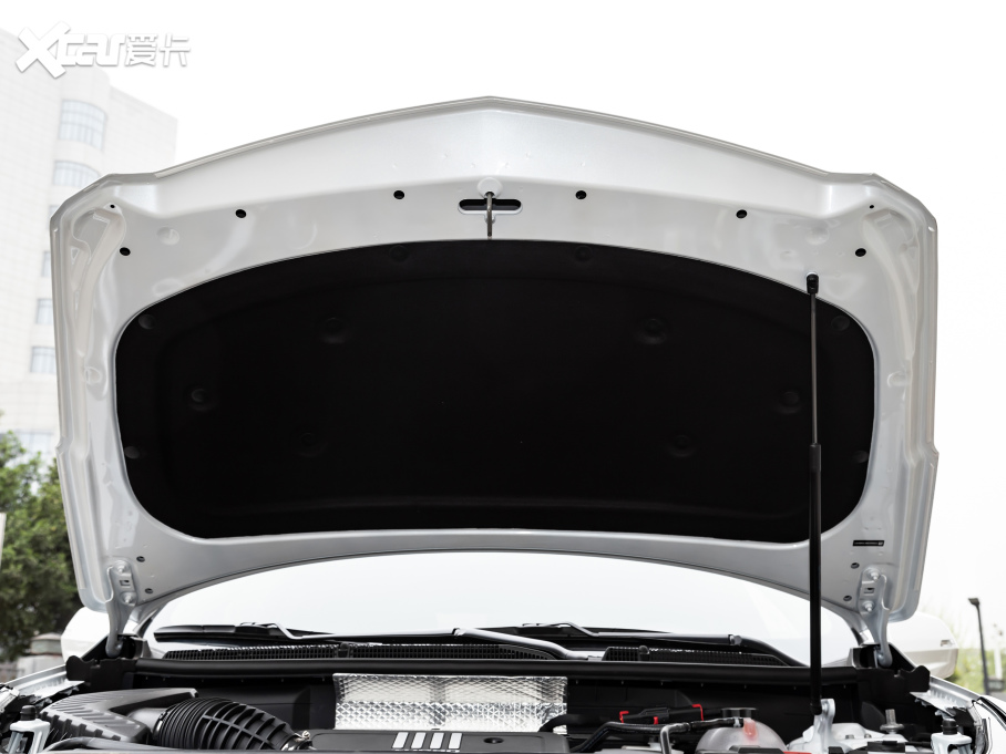 2021PXT5 Ŀ 28T (q)A