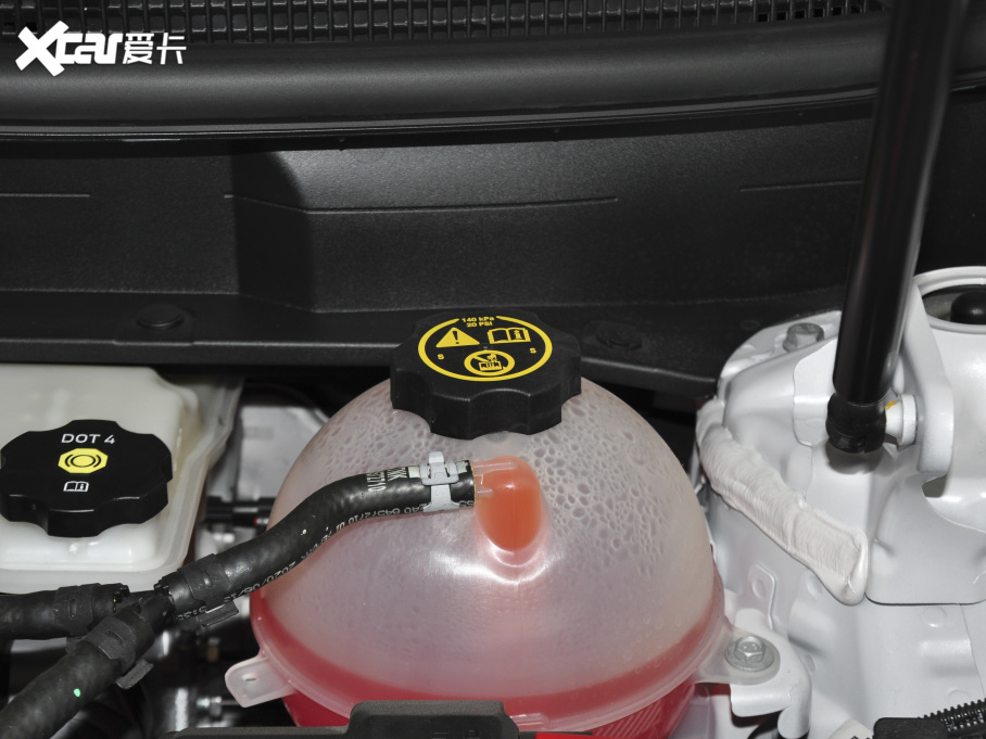 2021PXT5 28T (q)g(sh)