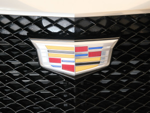 202128T (q)I(lng)\(yn)(dng) (x)(ji)^