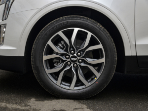 2021Ŀ 28T (q)F ݆Ȧ