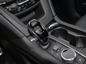 2021Ŀ 28T (q)F п؅^(q)