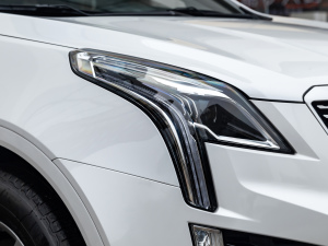 2021Ŀ 28T (q)A (ji)^