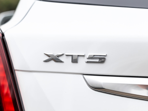 2021Ŀ 28T (q)A (x)(ji)^