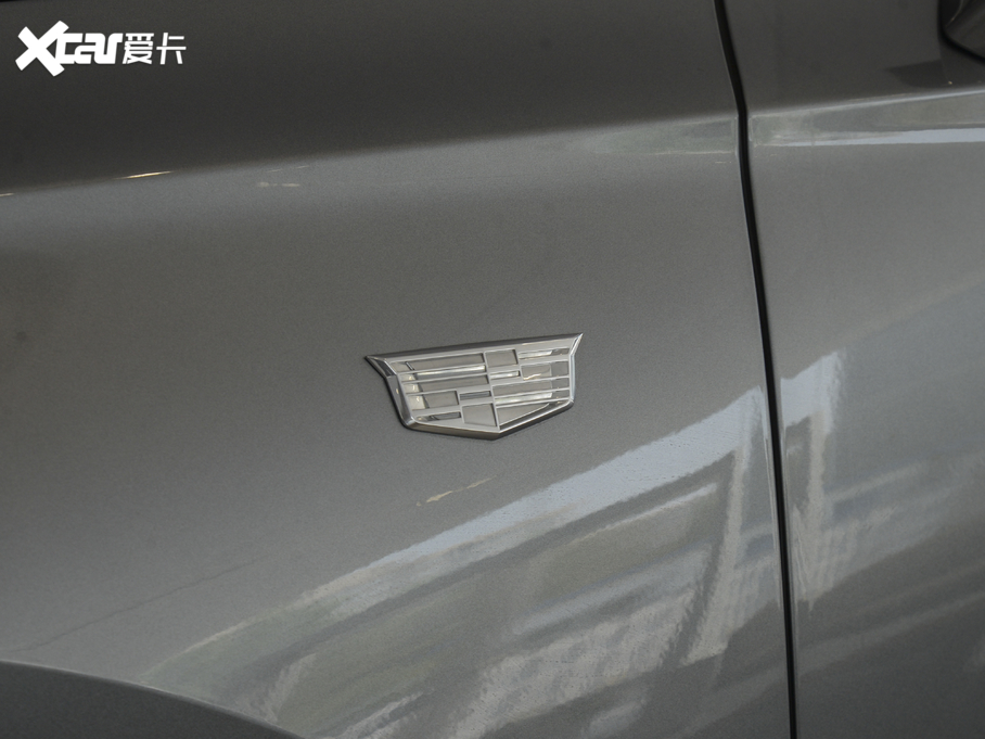 2021PXT6 28T (q)L(fng) 