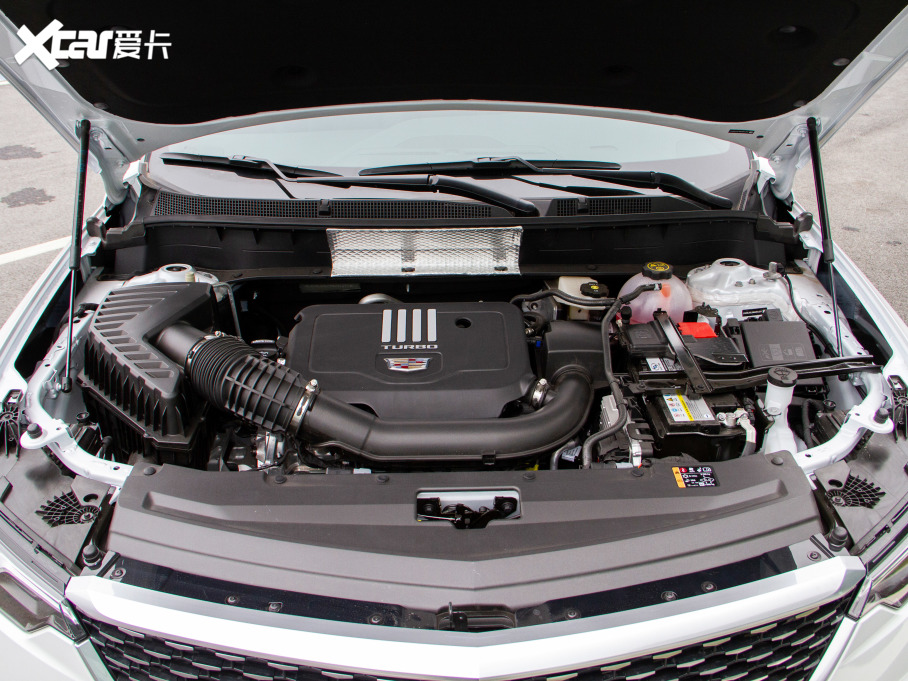 2021PXT6 28T (q)L(fng)