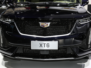 202128T (q)K\(yn)(dng) оW(wng)