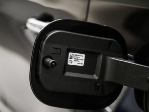 202128T L(fng) (x)(ji)^