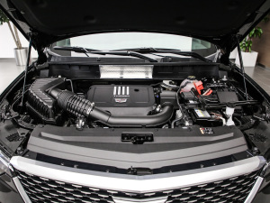 202128T L(fng) l(f)(dng)C(j)