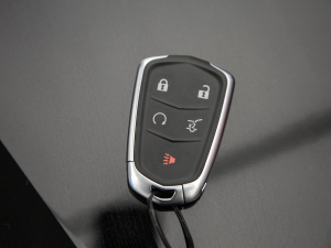 202128T L(fng) ܇(ch)耳