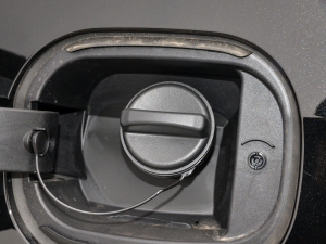 2021Ŀ 28T (q)L(fng) (ji)^