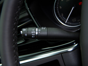 202128T (q)L(fng) п؅^(q)