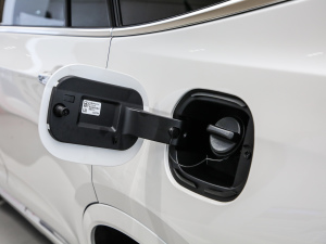 202128T (q)L(fng)  (x)(ji)^