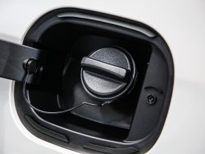 202128T (q)L(fng)  (x)(ji)^