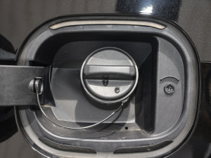 2021¿ 28T (q)F (x)(ji)^