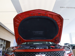 2021款28T 技术型 其它