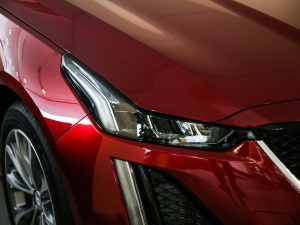 202128T I(lng)\(yn)(dng) (x)(ji)^