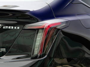 202128T K\(yn) (x)(ji)^