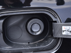 202128T L(fng) (x)(ji)^