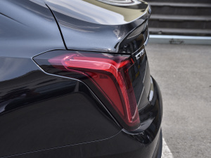 202128T L(fng) (x)(ji)^