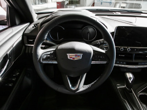 2021��28T �L���� ����P