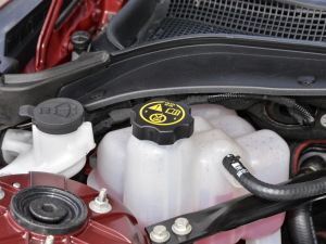 2021��28T ���A�� ����