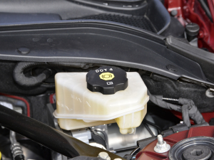 2021��28T ���A�� ����