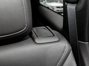 20222.0T (q)L(fng) 7 g