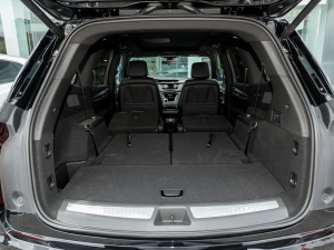 20222.0T (q)L(fng) 7 g