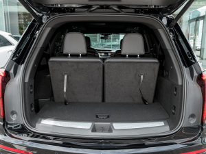 20222.0T (q)L(fng) 7 g