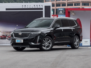 2022款2.0T 两驱豪华型 6座 整体外观