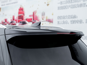 2022款2.0T 两驱豪华型 6座 细节外观