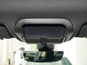 20222.0T (q)A͘(bio)(zhn) 7 g