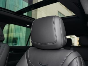 20222.0T (q)A͘(bio)(zhn) 7 g