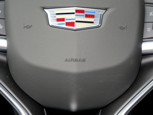 20222.0T (q)A͘(bio)(zhn) 7 п؅^(q)