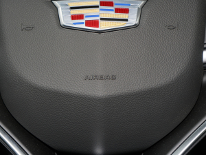 20222.0T (q)A͘(bio)(zhn) 6 п؅^(q)