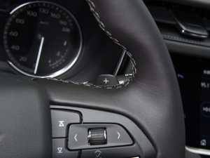 20222.0T (q)L(fng)120 6 п؅^(q)