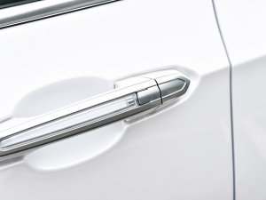 20222.0T (q)A120 7 (x)(ji)^