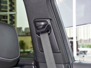 20222.0T (q)A120 7 g