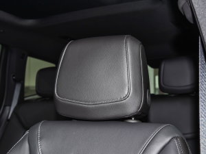 20222.0T (q)A120 7 g