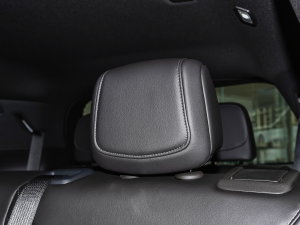 20222.0T (q)A120 7 g