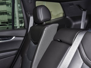 20222.0T (q)A120 7 g