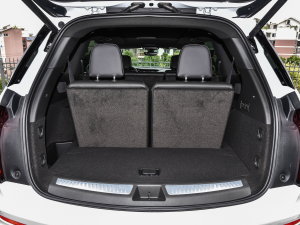 20222.0T (q)A120 7 g