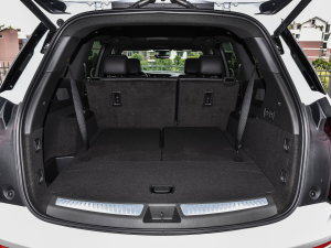 20222.0T (q)A120 7 g